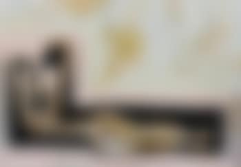 Big reclining nude (preview)