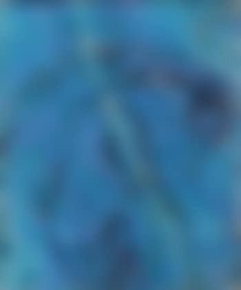 Blue flip (preview)