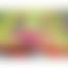 I love eat watermelon (preview)