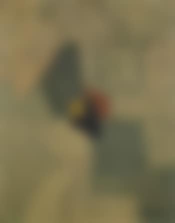 Composition (preview)