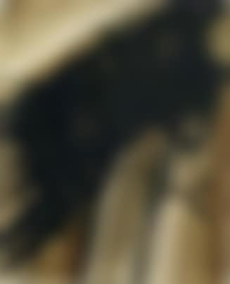 Ma belle cryssa (preview)