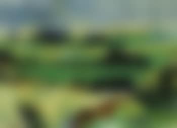 Rainy day, Bornholm (preview)