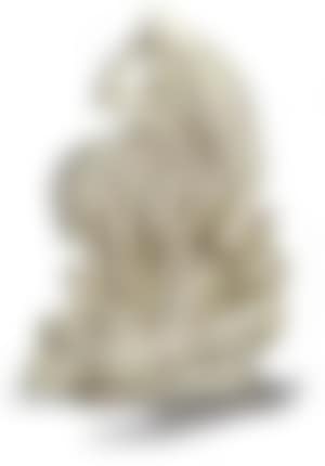 Zeus and Io (preview)