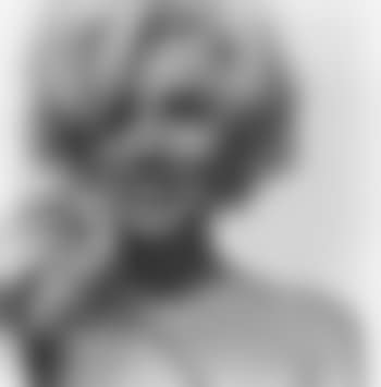 Marilyn Monroe. The last sitting (preview)