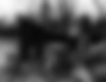Vapeur a quai (preview)
