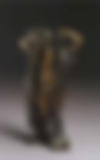 Petite Venus eclosion (preview)