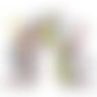 Niche de Leika (preview)
