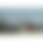 Scene de plage a Trouville (preview)