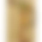 Male nude (preview)
