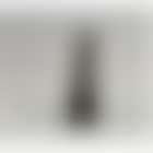 Torse de femme (preview)