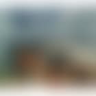 Paysage de Beauce (preview)