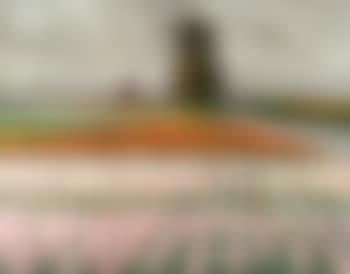 Pink tulips (preview)