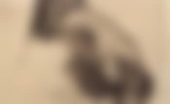 Study of female hand holding arm of chair (preview)