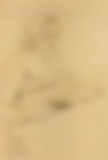 Woman reading the bible (preview)