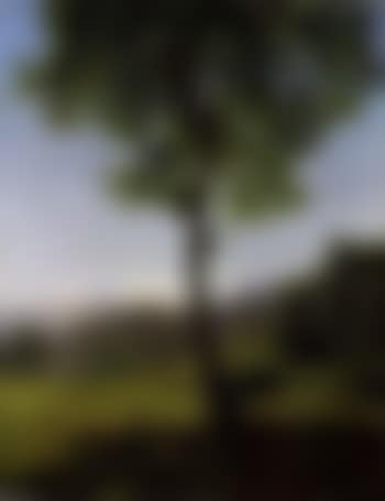 View to the Stanserhorn (preview)