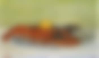 Still life with crayfish, oysters and lemon (preview)