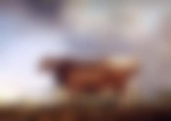 Longhorn heifer, depicted by a pool of water with landscape beyond (preview)