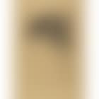 Portrait of Whistler (preview)