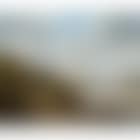 View of Bideford on the River Torride, Devon (preview)