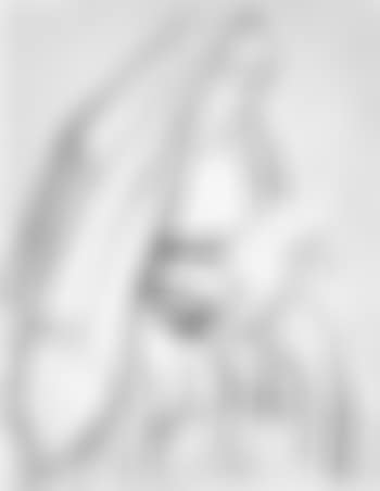 Woman with a bundle (preview)