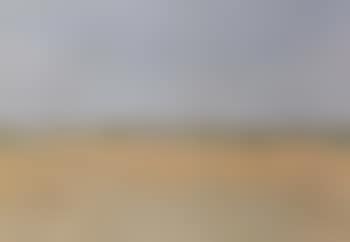 Namid desert (preview)