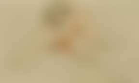 Female nude (preview)