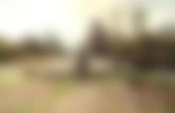 Shepherds with his sheep, paused along a track (preview)