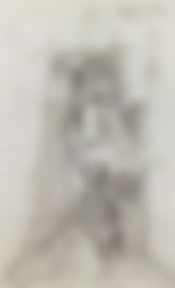 Divided head (preview)