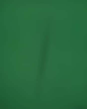 Concetto spaziale, Attesa (preview)