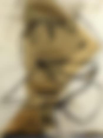Avismand (preview)