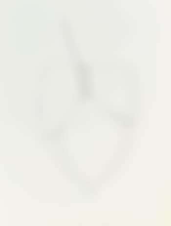 Coral leaf 15, EK P 2.89 (preview)