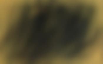 T1960-20 (preview)