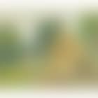 Landscape with hut (preview)