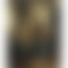 Rag doll (preview)