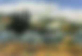 Alpilles a Maussane (preview)