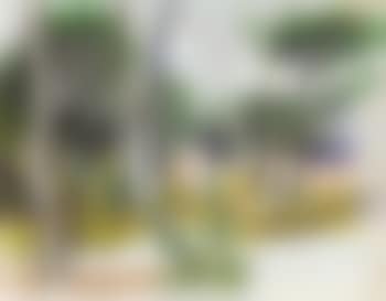 Wood (preview)