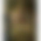 The holy family with the Infant Saint John the Baptist (preview)