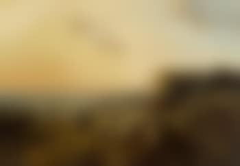 Shepherd with his flock in an extensive landscape (preview)