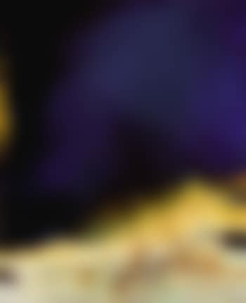 Sans titre (preview)