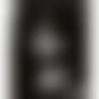 Distortion (preview)