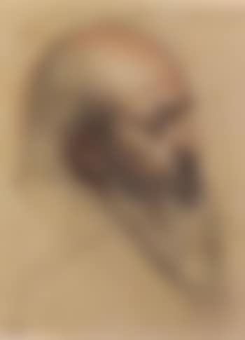 Tete de vieil homme (preview)
