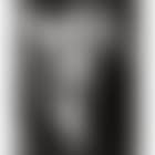 Distortion (preview)