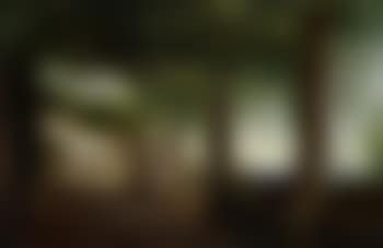 Italian landscape, possibly Capri (preview)