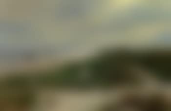 Summer landscape from Skagen Sonderstrand (preview)