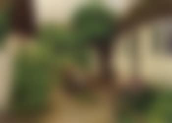 Children playing in front of a farmhouse (preview)