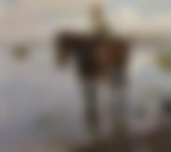 Watering the horse (preview)