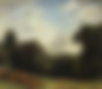 Summer landscape with trees and hills (preview)