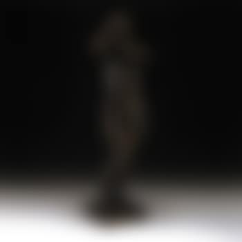 Standing female nude (preview)