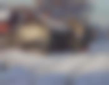 Winter in the village (preview)