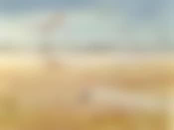 Wimmera landscape with a windmill (preview)